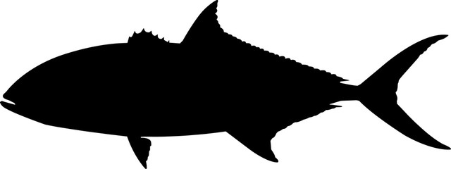 Amberjack Fish Silhouette Vector