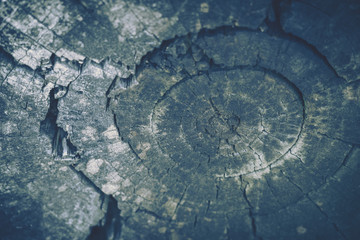 Wood patten texture; vintage style