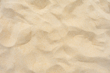 Fototapeta na wymiar Beautiful yellow beach sand texture in the summer sun.
