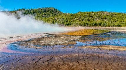 The area surrounding Grand Prismatic Spring, as thick steam rises from the famous hot spring in the Midway Geyser Basin at Yellowstone.
