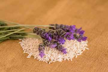 Obraz na płótnie Canvas Lavender on rice