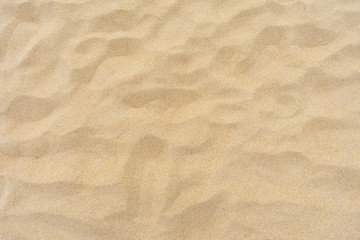 Obraz na płótnie Canvas Beach sand texture in the summer sun.