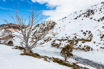 Snowy River