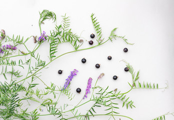The angular arrangement of berries and creepers