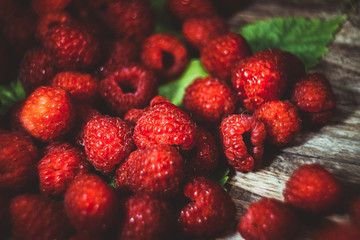 Ripe raspberries. Berries. A handful of raspberries.