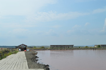Pink Lake