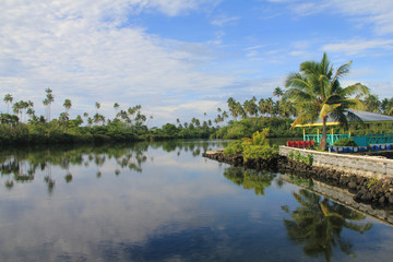Fototapeta na wymiar Swimming with Turtles is located in the village of Sato'alepai. It is one of the most common sites visited by tourists in Savaii.