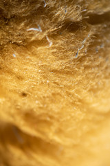 Close up macro texture of sponge material art