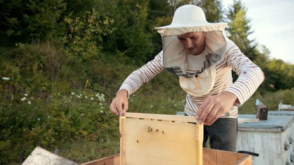 beekeeper stands near the hives holding bee frame in which there is a honeycomb