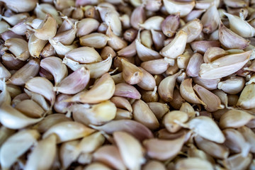A group of  dried garlic bulb as food ingredient for cooking