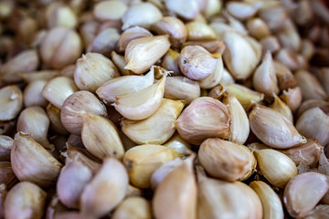 A group of  dried garlic bulb as food ingredient for cooking