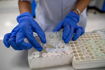 The researcher opens the storage box that keeps the sample in -80C refrigerator. To finds samples of protein used for the further experiment for biochemical laboratory.