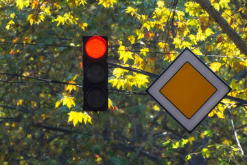 Traffic light with red color on sunny background. The main road.