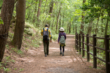 Obraz premium トレッキングのイメージ