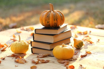 Autumn books. School time.Halloween books.Striped pumpkin on a stack of books on a wooden table in...