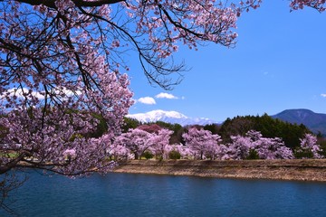 六道の堤