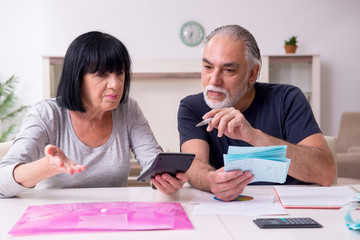 Naklejka premium Senior couple discussing financial plans