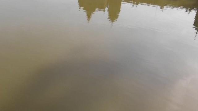 Drone Footage, Lake with Water reflection, Germany