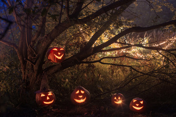 Halloween pumpkins in night forest