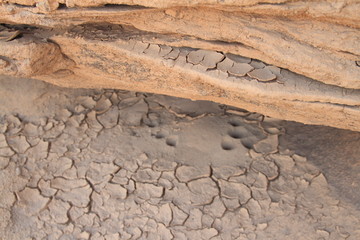close up mud crack,Crack dried soil in drought