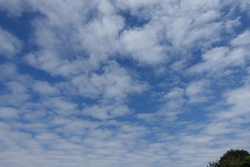 Fototapeta premium ９月の空