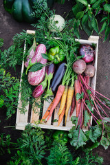 Various organic vegetables in a wooden box in the garden, harvesting. Carrots, beets, eggplants -...