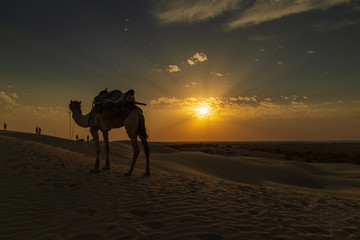 Fototapeta na wymiar Desert sunset