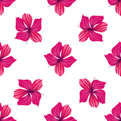 Hibiscus pattern. Tropic palm leaf. Seamless background