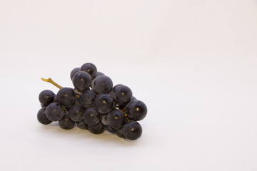 branch of black grapes on  white background