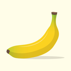 Banana Fruit Illustration Fresh Banana Vector