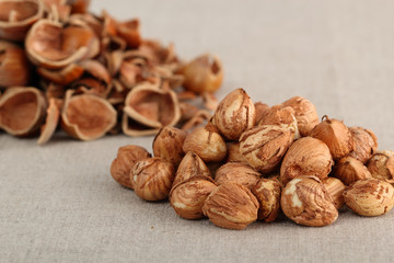 Peeled fresh hazelnuts