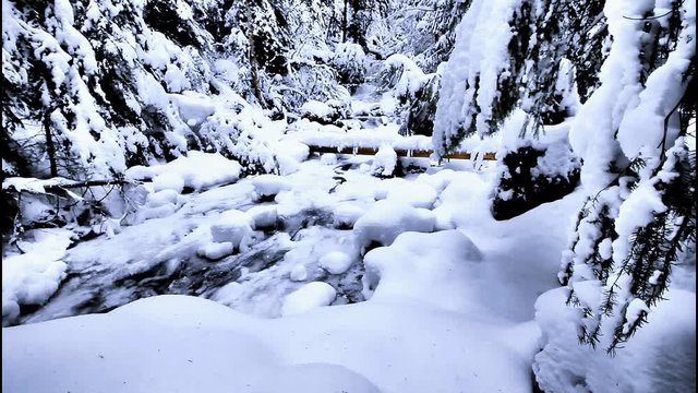 Winter snow, mountain stream near Watson Falls, Oregon
