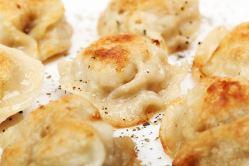 Fried meat dumplings