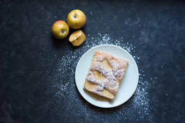 Apple pie on a white plate in powdered sugar on a dark background . top view