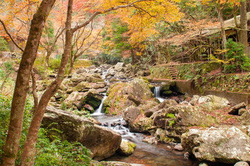 Waterfall in autumn season .