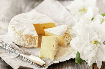 Gourmet spicy Camembert cheese, brie on white paper background with cheese knife. Spicy appetizer...