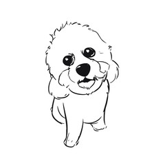 A cuddly poodle dog. Realistic version.