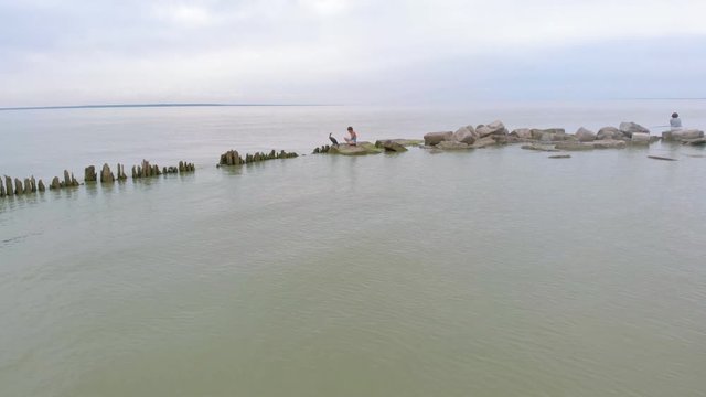 A man is playing with a cormorant. Aerial shot