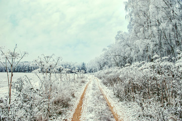The first snow and frosty frost of late autumn. The road leads into a snowy forest. Background.