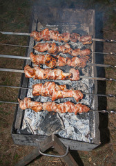 The skewers on the grill