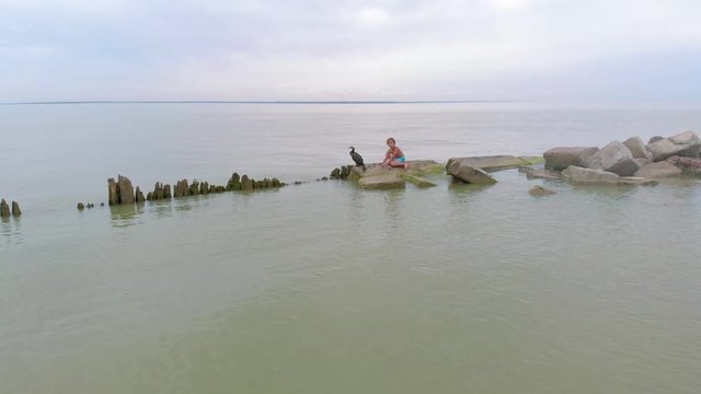 A man is playing with a cormorant. Aerial shot