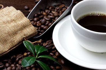 Cup of coffee and coffee beans on a wooden background.