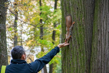 A man feeds a squirrel