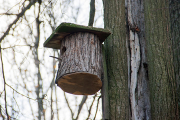 birdhouse