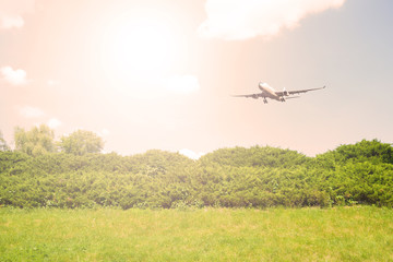 The plane over the green grass and trees. The sun shines.