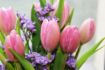 Beautiful bouquet of pink tulip flowers