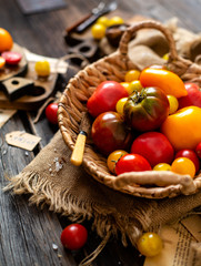 homegrown assorted red, yellow, orange tomatoes in wicker straw basket stands on sackcloth on rustic wooden table, autumn harvesting, selective focus