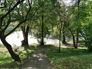 Stairs, descent to a small pond in the city Park.