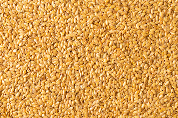 Flax seeds texture. Background with copyspace. Close up. Top view