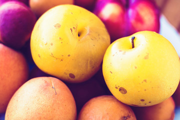 Fresh whole fruits plums, peaches, apricots background , top view.